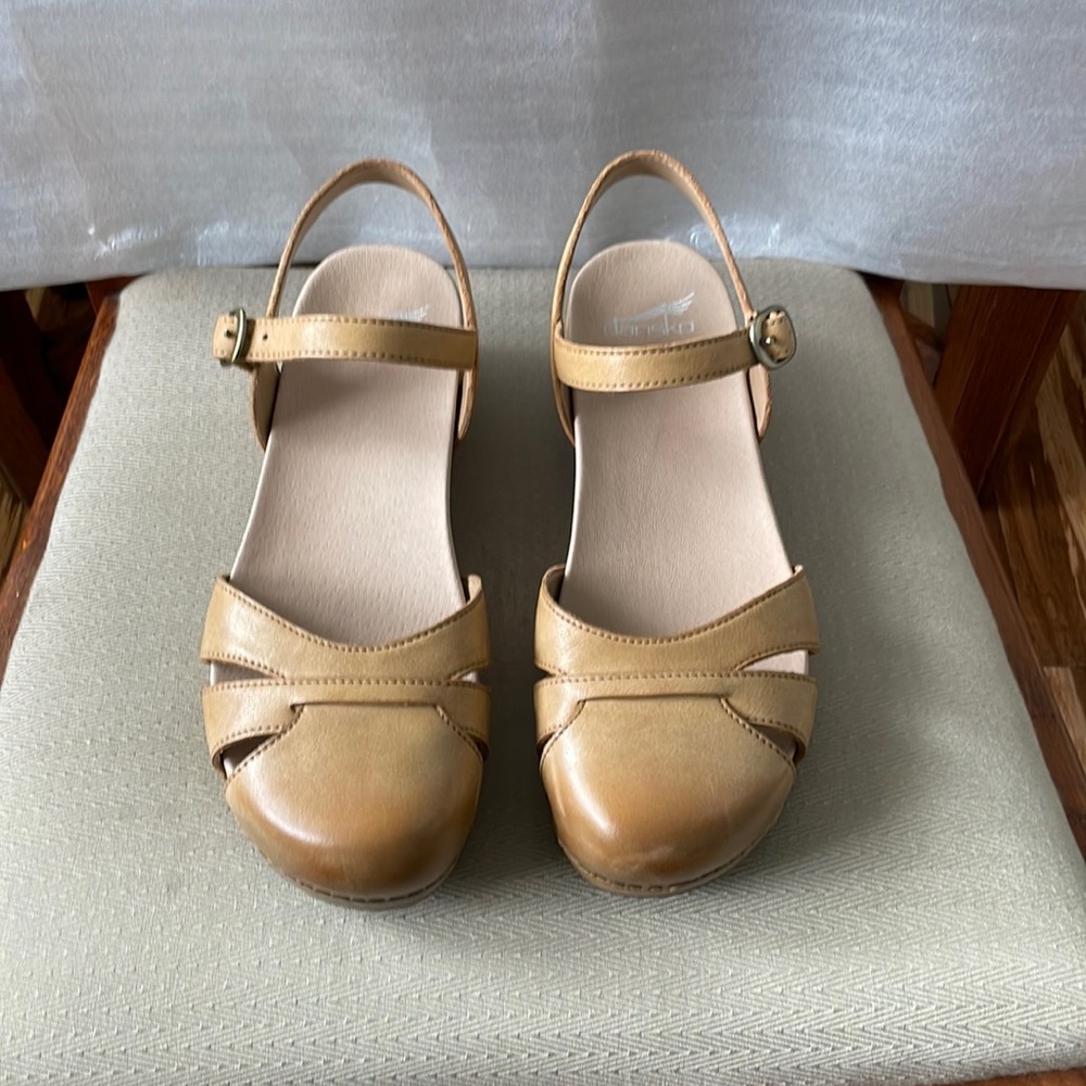 Dansko Clog
